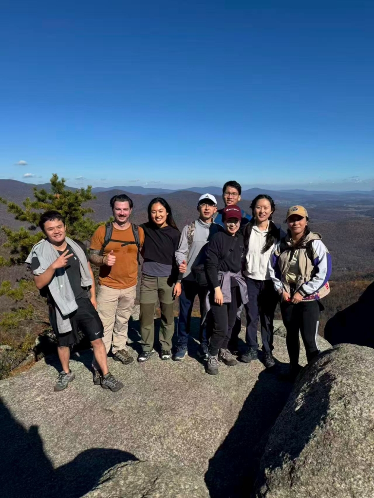 YoungProfessionalFellowship